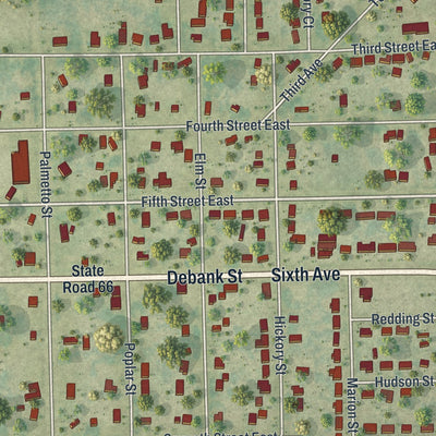 Close-up 1 of the Zolfo Springs, Florida map artwork