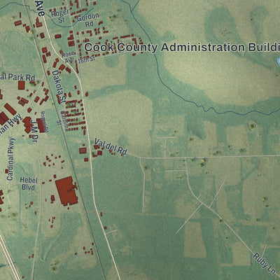 Close-up 2 of the Adel, Georgia map artwork
