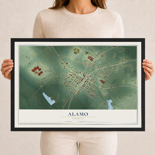 Map of Alamo, Georgia, 12 x 18 inch print in a black wood frame