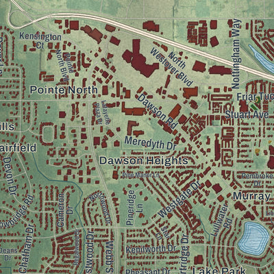 Close-up 2 of the Albany, Georgia map artwork