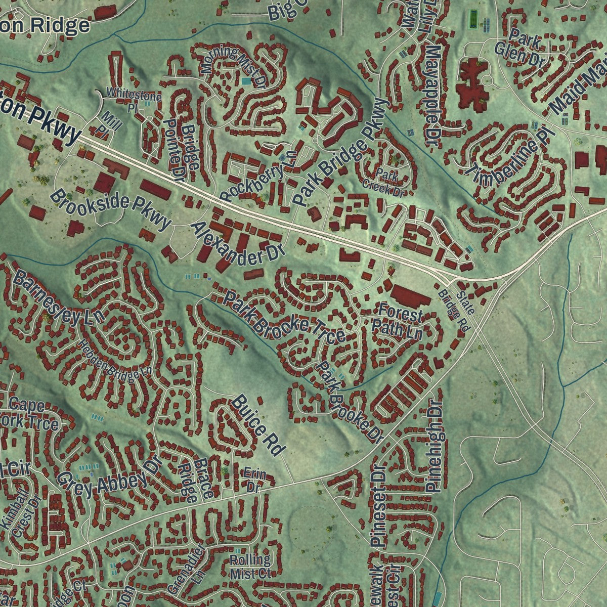 Close-up 1 of the Alpharetta, Georgia map artwork