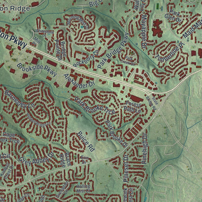 Close-up 1 of the Alpharetta, Georgia map artwork