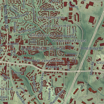 Close-up 2 of the Alpharetta, Georgia map artwork