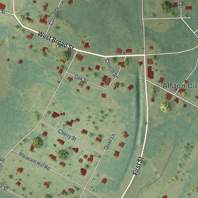 Close-up 1 of the Alston, Georgia map artwork