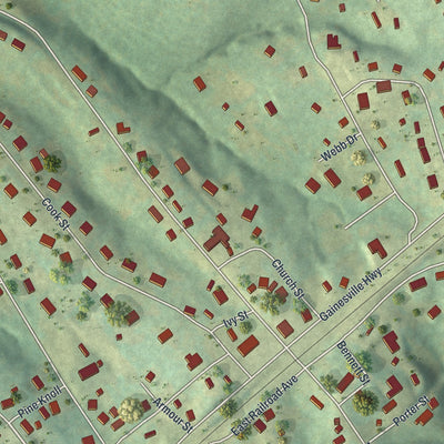 Close-up 1 of the Alto, Georgia map artwork
