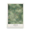 Ambrose, Georgia map print, 12" x 18" Archival Matte Print mockup