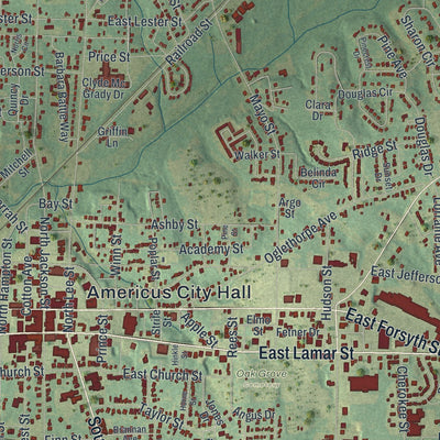 Close-up 1 of the Americus, Georgia map artwork