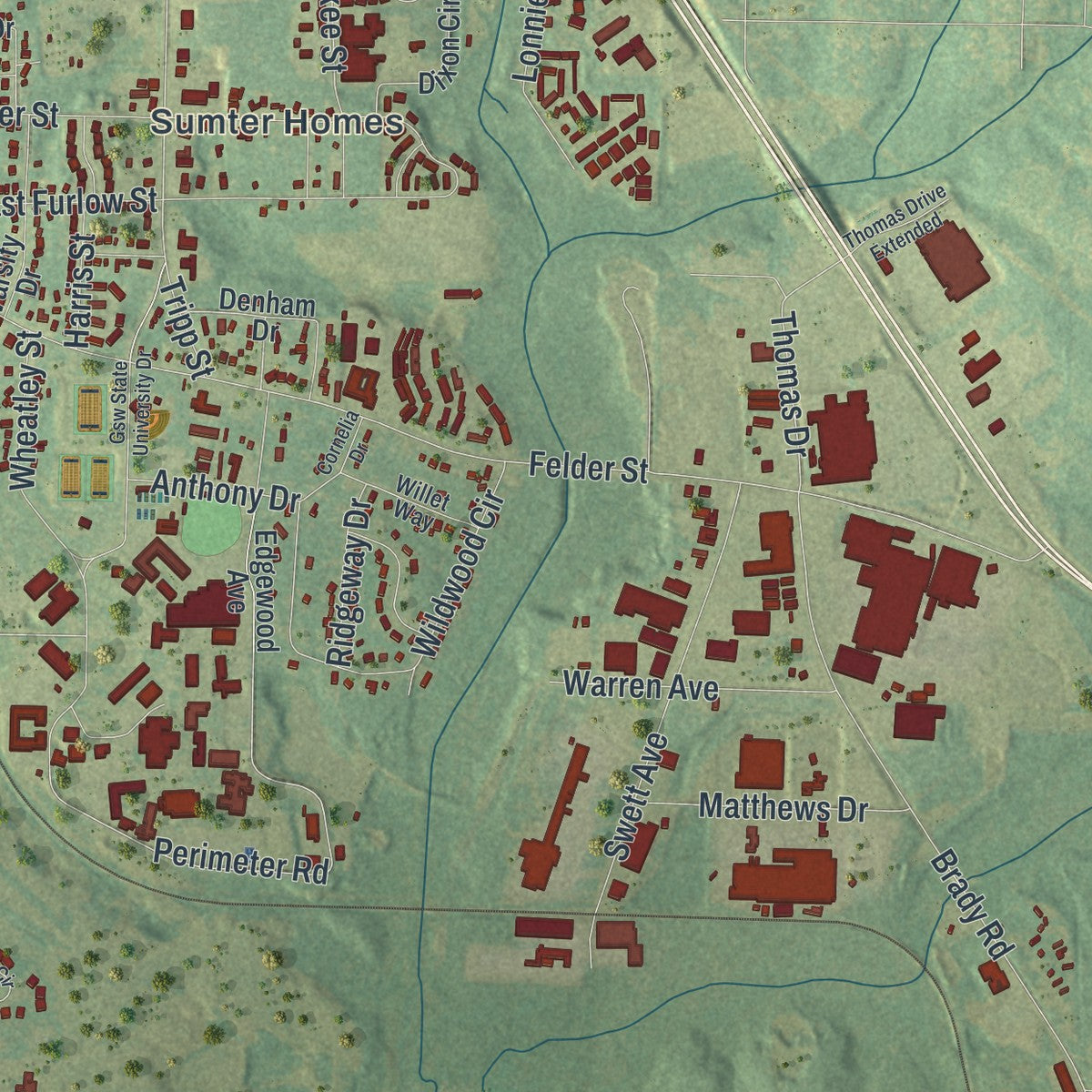 Close-up 2 of the Americus, Georgia map artwork
