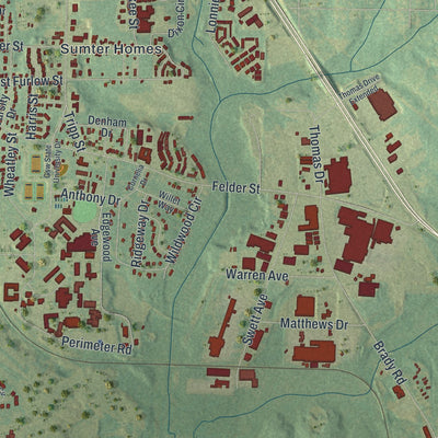 Close-up 2 of the Americus, Georgia map artwork