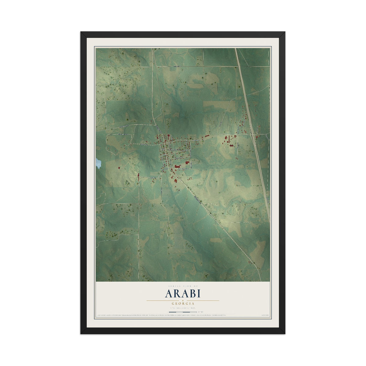 Arabi, Georgia map print, 12" x 18" W/ Black Ayous Wood Frame mockup