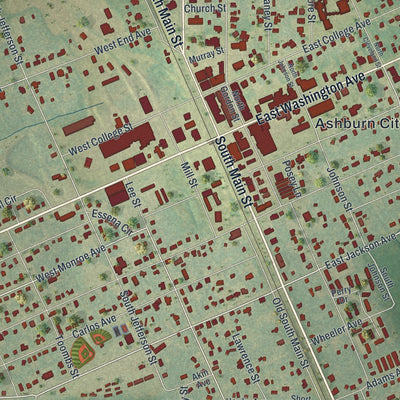Close-up 1 of the Ashburn, Georgia map artwork
