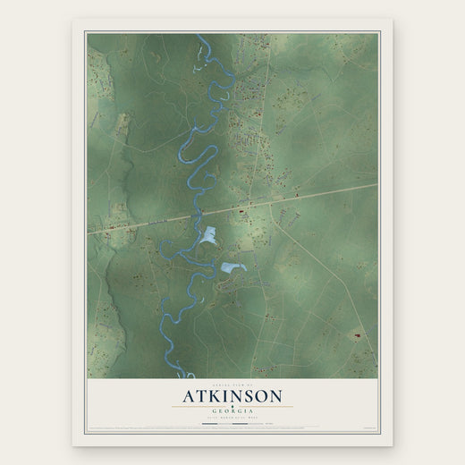 Atkinson, Georgia map print, the full design