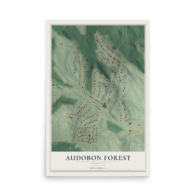 Audobon Forest, Georgia map print, 12" x 18" Archival Matte Print mockup