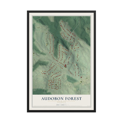 Audobon Forest, Georgia map print, 12" x 18" W/ Black Ayous Wood Frame mockup
