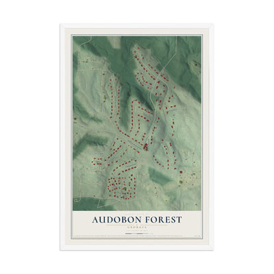 Audobon Forest, Georgia map print, 12" x 18" W/ White Ayous Wood Frame mockup