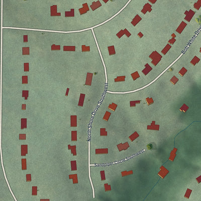 Close-up 1 of the Audobon Forest West, Georgia map artwork