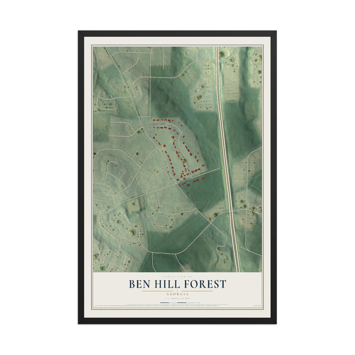 Ben Hill Forest, Georgia map print, 12" x 18" W/ Black Ayous Wood Frame mockup