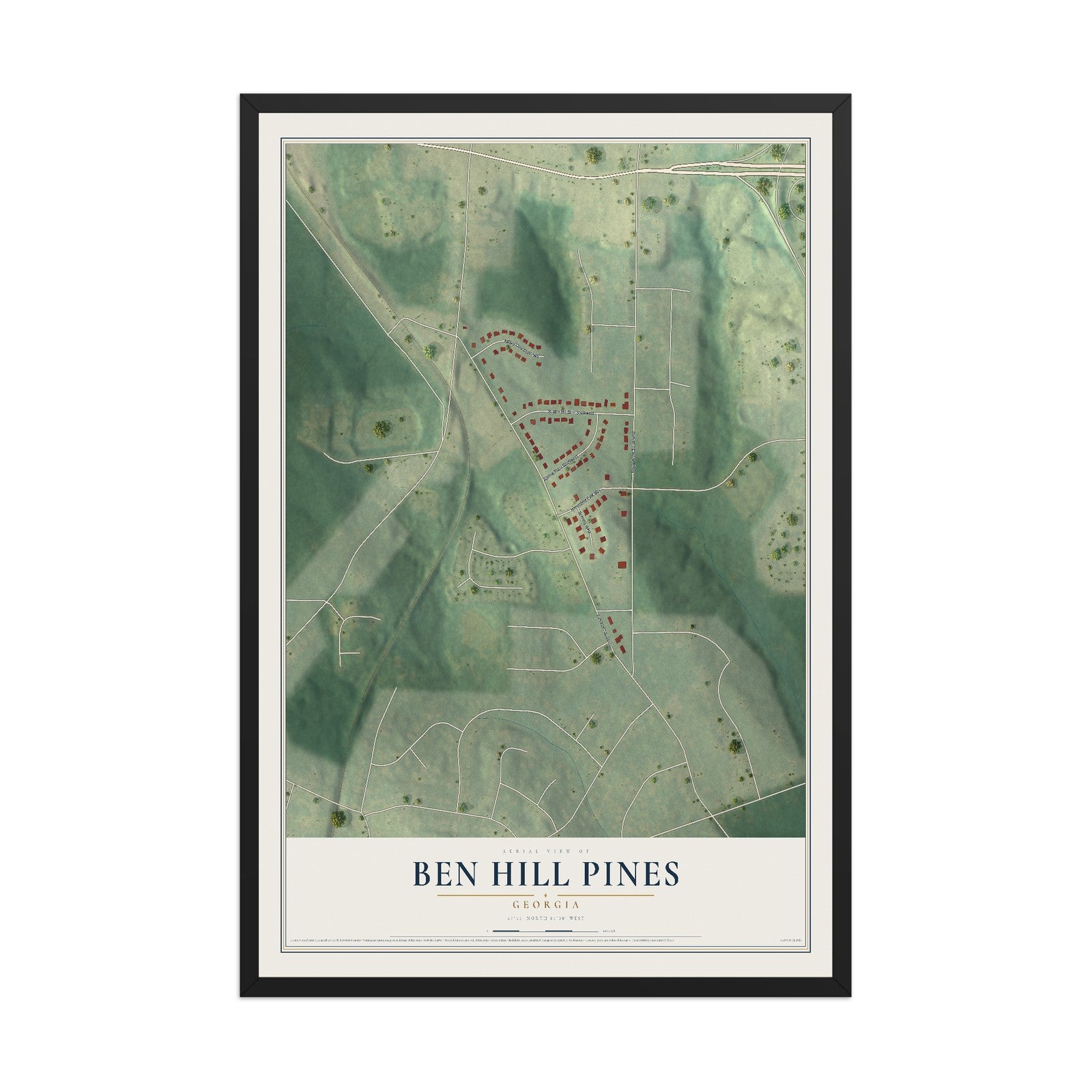 Ben Hill Pines, Georgia map print, 12" x 18" W/ Black Ayous Wood Frame mockup
