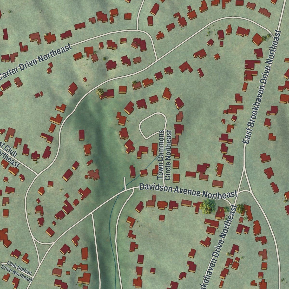 Close-up 1 of the Brookhaven, Atlanta, Georgia map artwork