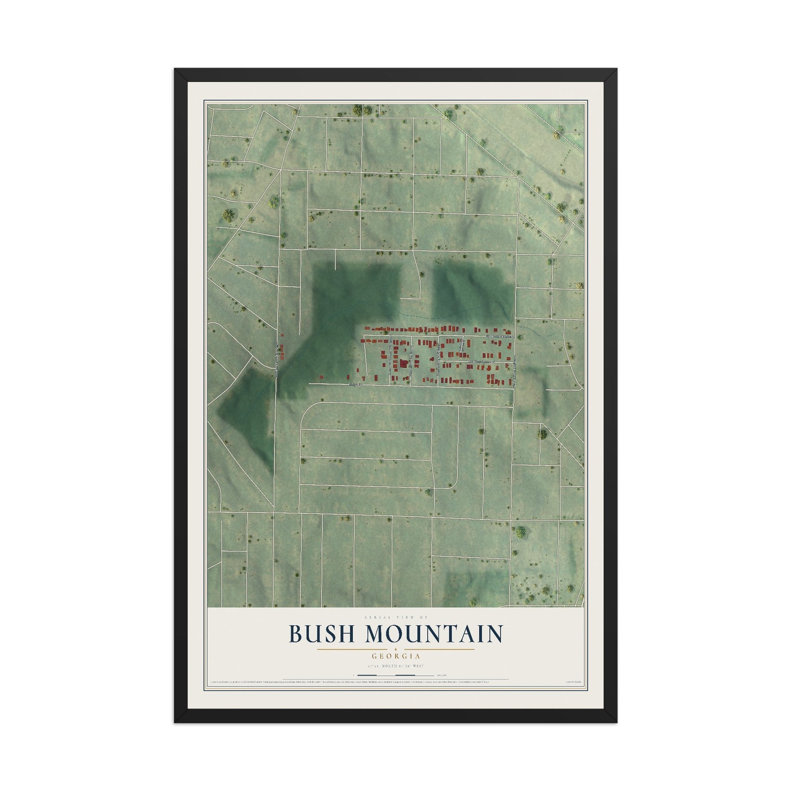 Bush Mountain, Georgia map print, 12" x 18" W/ Black Ayous Wood Frame mockup