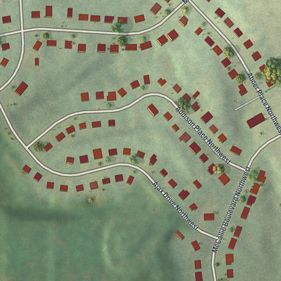 Close-up 1 of the Carver Hills, Georgia map artwork