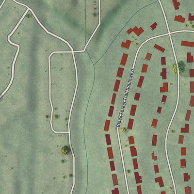 Close-up 1 of the Continental Colony, Georgia map artwork