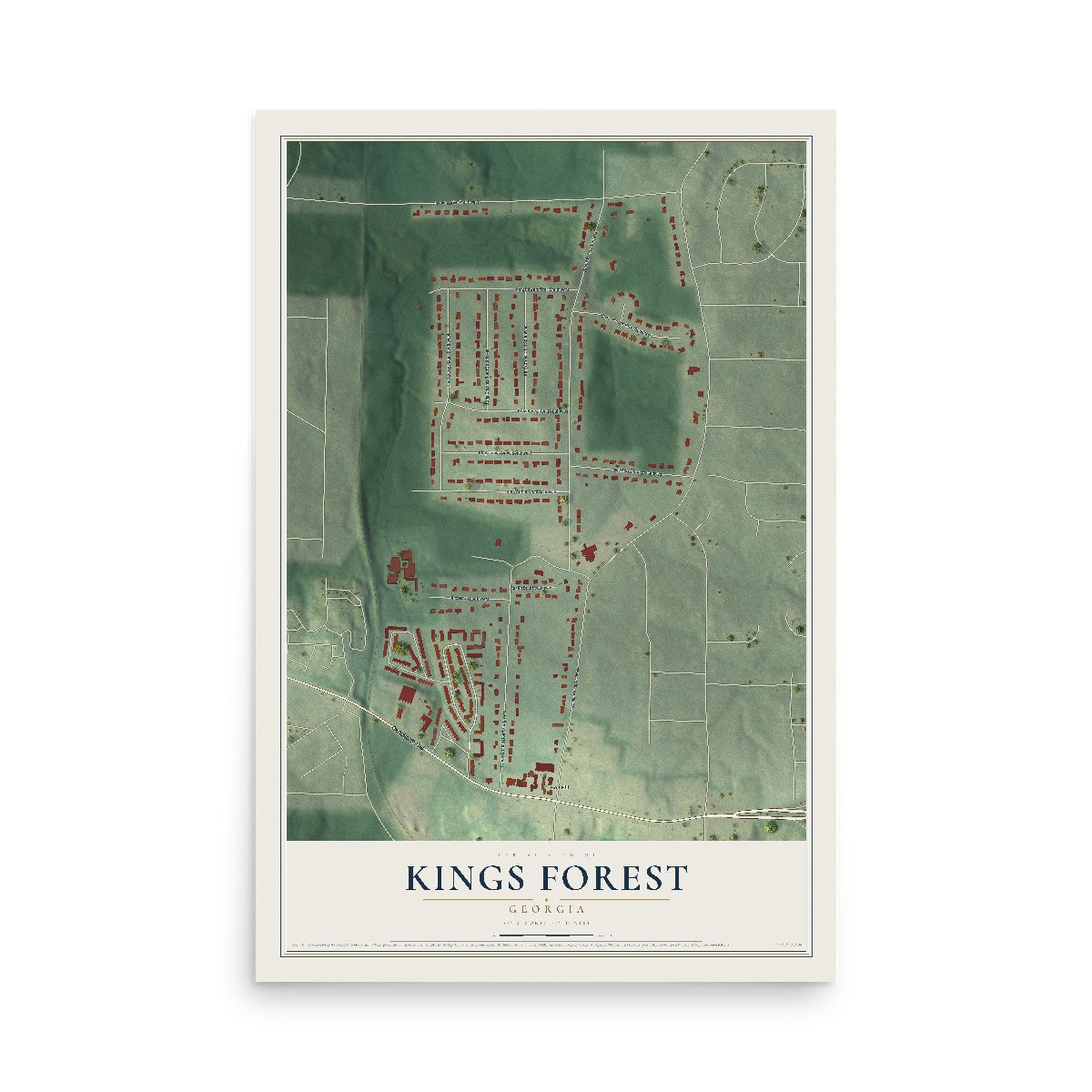 Kings Forest, Georgia map print, 12" x 18" Archival Matte Print mockup