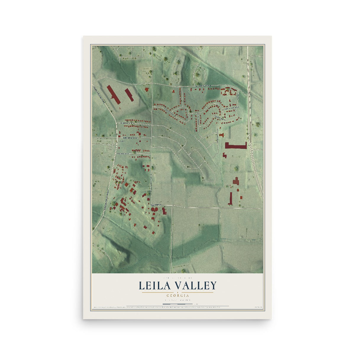 Leila Valley, Georgia map print, 12" x 18" Archival Matte Print mockup
