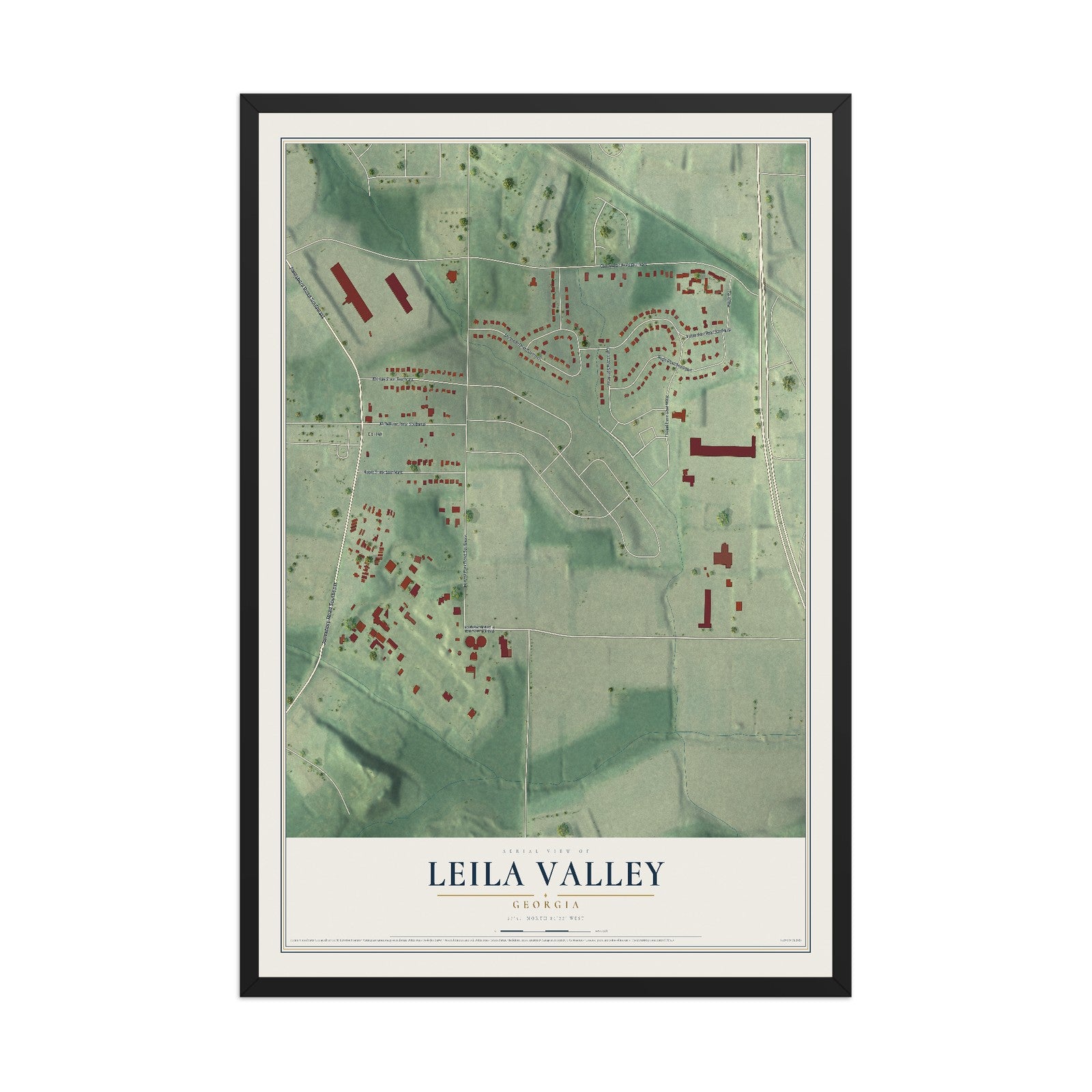 Leila Valley, Georgia map print, 12" x 18" W/ Black Ayous Wood Frame mockup