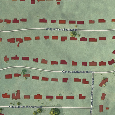 Close-up 1 of the Magnum Manor, Georgia map artwork