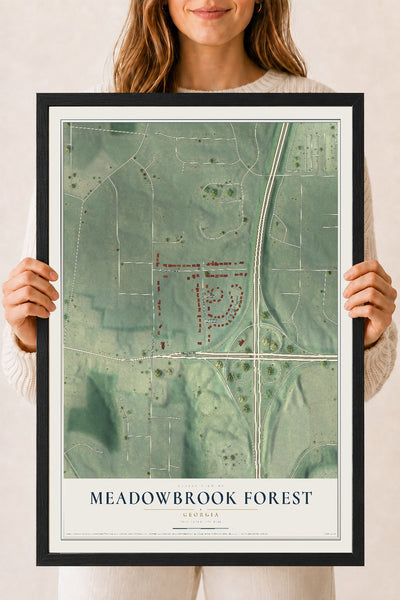 Meadowbrook Forest, Georgia map print, 18" x 24" W/ Black Ayous Wood Frame mockup