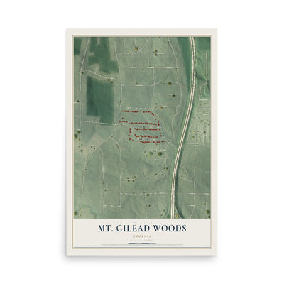 Mt. Gilead Woods, Georgia map print, 12" x 18" Archival Matte Print mockup