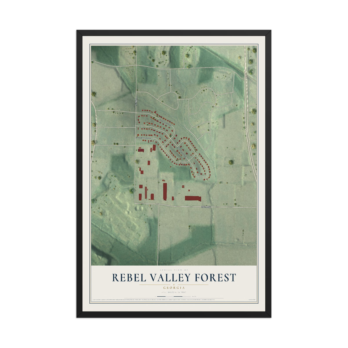 Rebel Valley Forest, Georgia map print, 12" x 18" W/ Black Ayous Wood Frame mockup