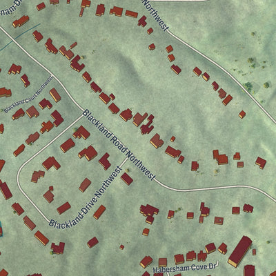 Close-up 1 of the Tuxedo Park, Georgia map artwork