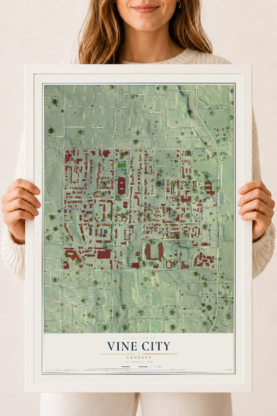 Vine City, Georgia map print, 18" x 24" W/ White Ayous Wood Frame mockup