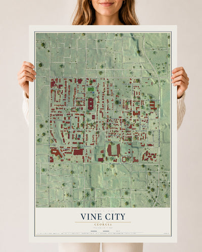 Vine City, Georgia map print, 24" x 36" Archival Matte Print mockup