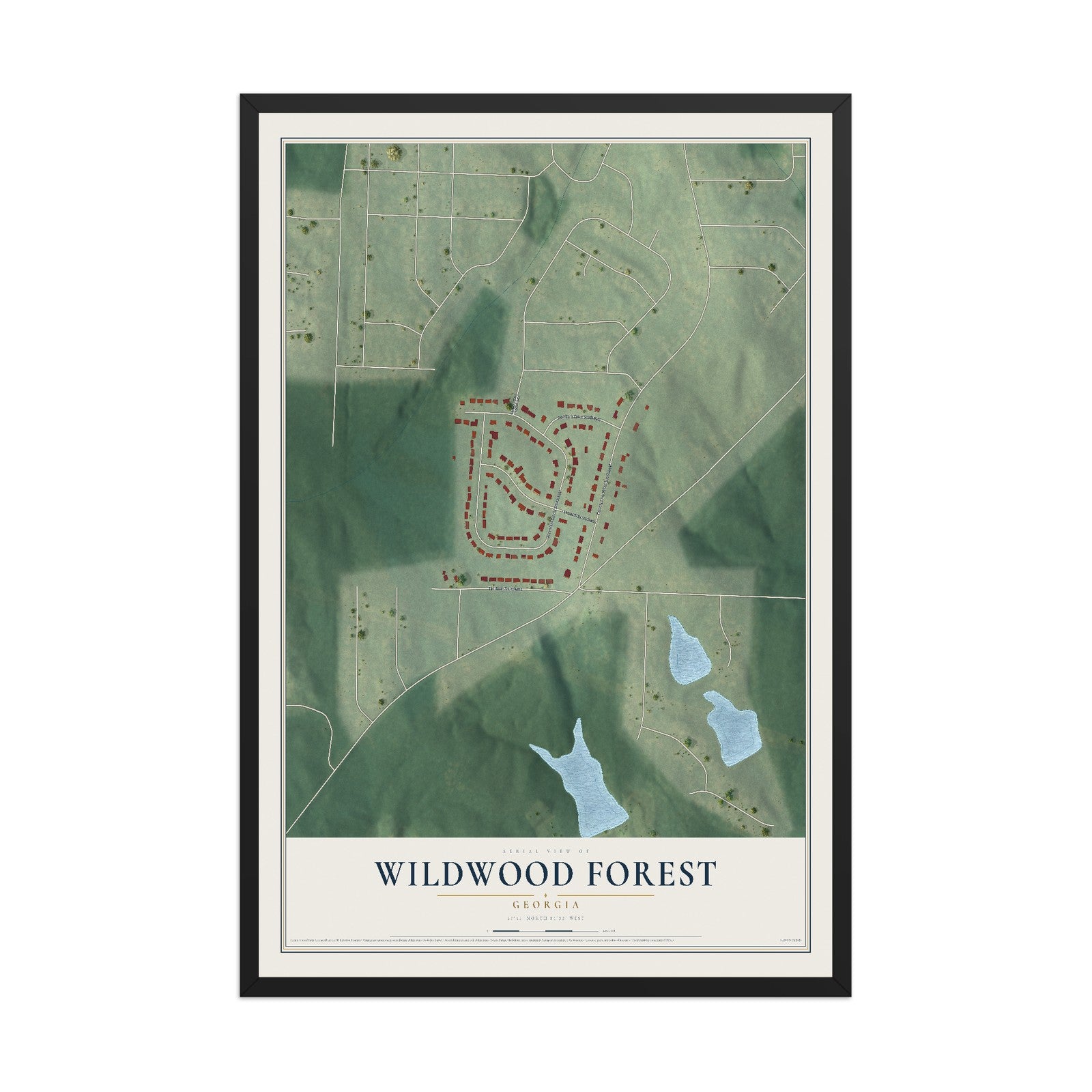 Wildwood Forest, Georgia map print, 12" x 18" W/ Black Ayous Wood Frame mockup