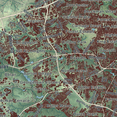 Close-up 1 of the Augusta, Georgia map artwork