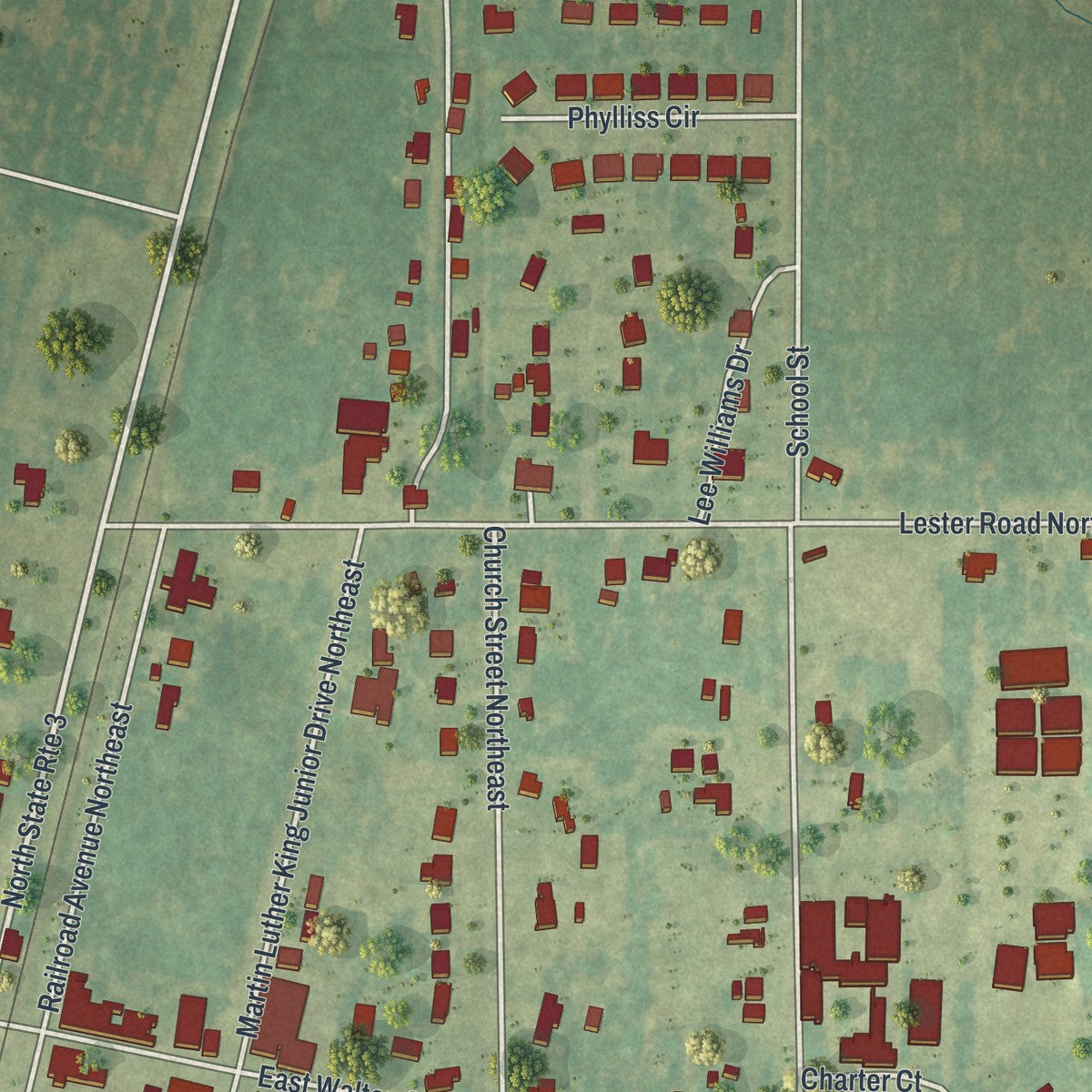 Close-up 1 of the Baconton, Georgia map artwork