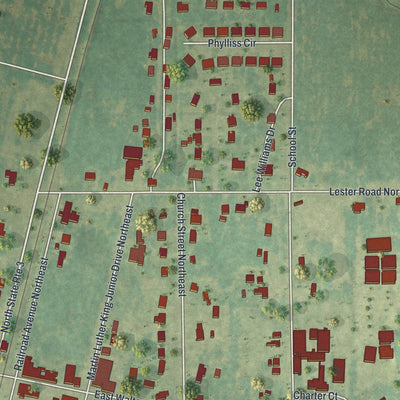 Close-up 1 of the Baconton, Georgia map artwork