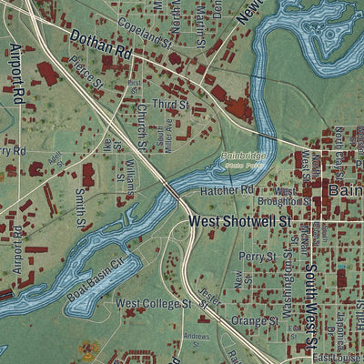 Close-up 1 of the Bainbridge, Georgia map artwork