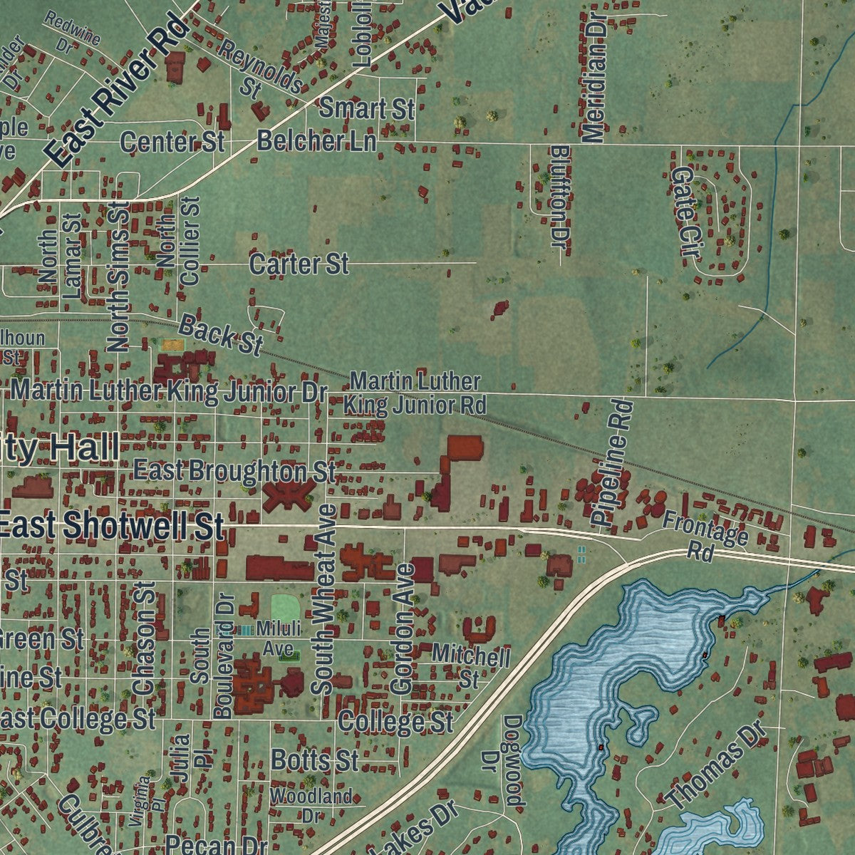Close-up 2 of the Bainbridge, Georgia map artwork
