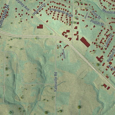 Close-up 2 of the Barnesville, Georgia map artwork