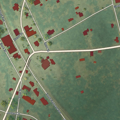 Close-up 1 of the Bartow, Georgia map artwork