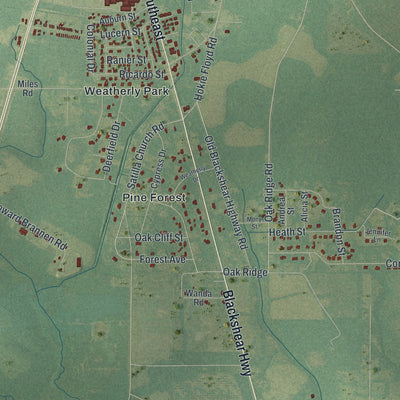 Close-up 2 of the Baxley, Georgia map artwork