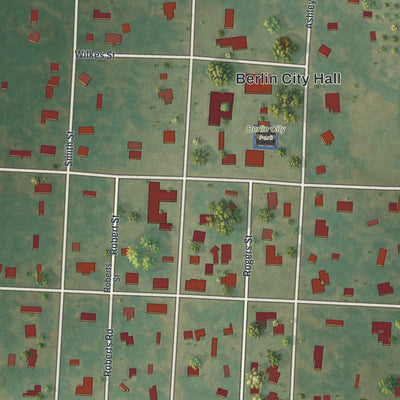 Close-up 1 of the Berlin, Georgia map artwork