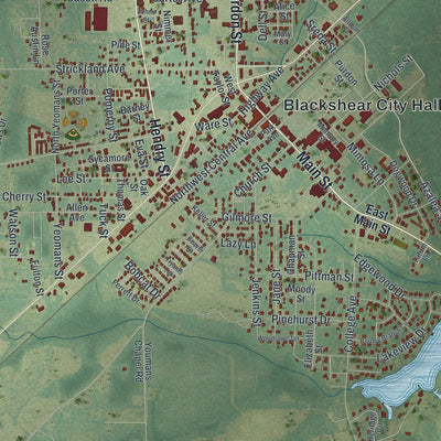 Close-up 1 of the Blackshear, Georgia map artwork