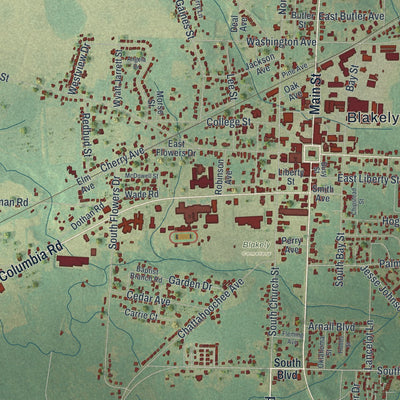Close-up 1 of the Blakely, Georgia map artwork