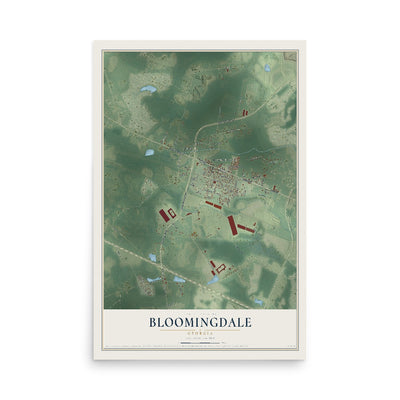 Bloomingdale, Georgia map print, 12" x 18" Archival Matte Print mockup
