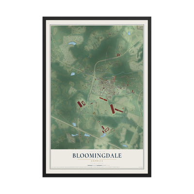 Bloomingdale, Georgia map print, 12" x 18" W/ Black Ayous Wood Frame mockup